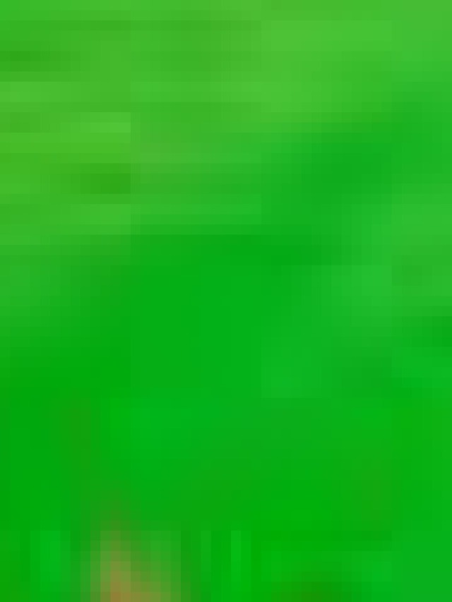 Players who will not be a part of Asia Cup 2023